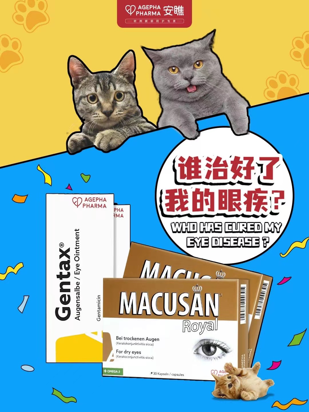 2023110315193349320990326.jpg 微信图片_20231103152740.jpg